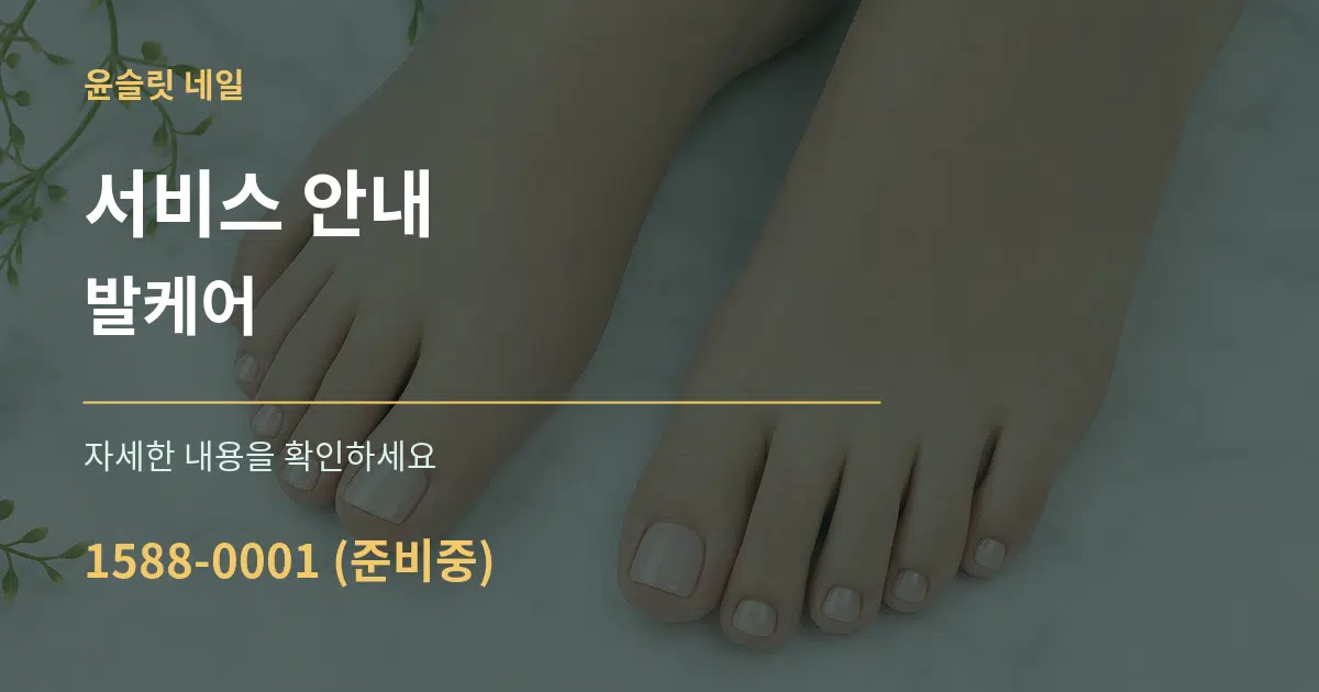 서비스 안내 발케어 서비스 이용 안내 그래픽