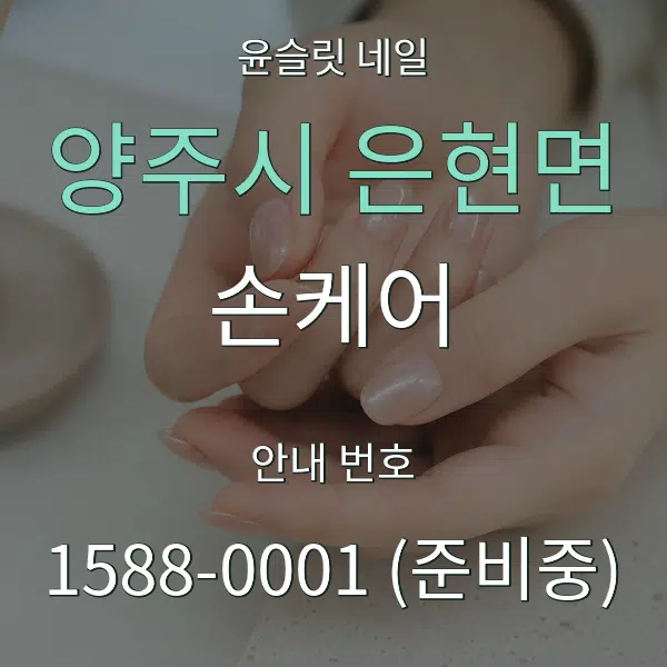 양주시 은현면 손케어 대표 안내 그래픽