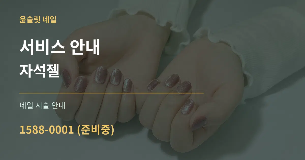 서비스 안내 자석젤 대표 안내 그래픽