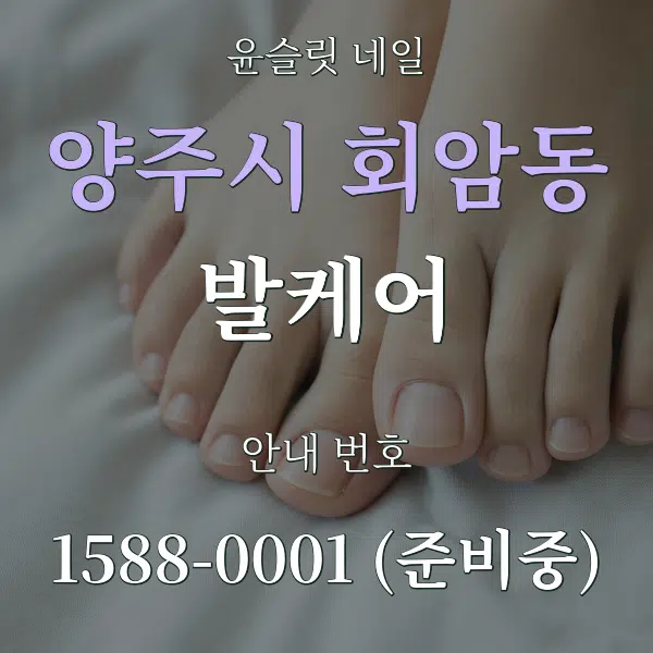 양주시 회암동 발케어 대표 안내 그래픽