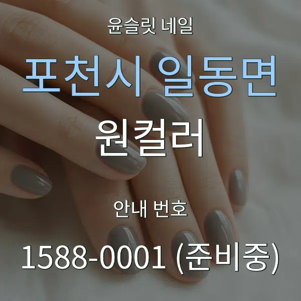 포천시 일동면 원컬러 대표 안내 그래픽