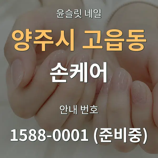 양주시 고읍동 손케어 대표 안내 그래픽
