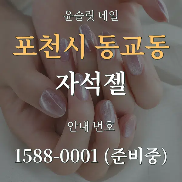 포천시 동교동 자석젤 대표 안내 그래픽
