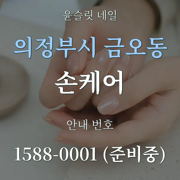 의정부시 금오동 손케어 대표 안내 그래픽