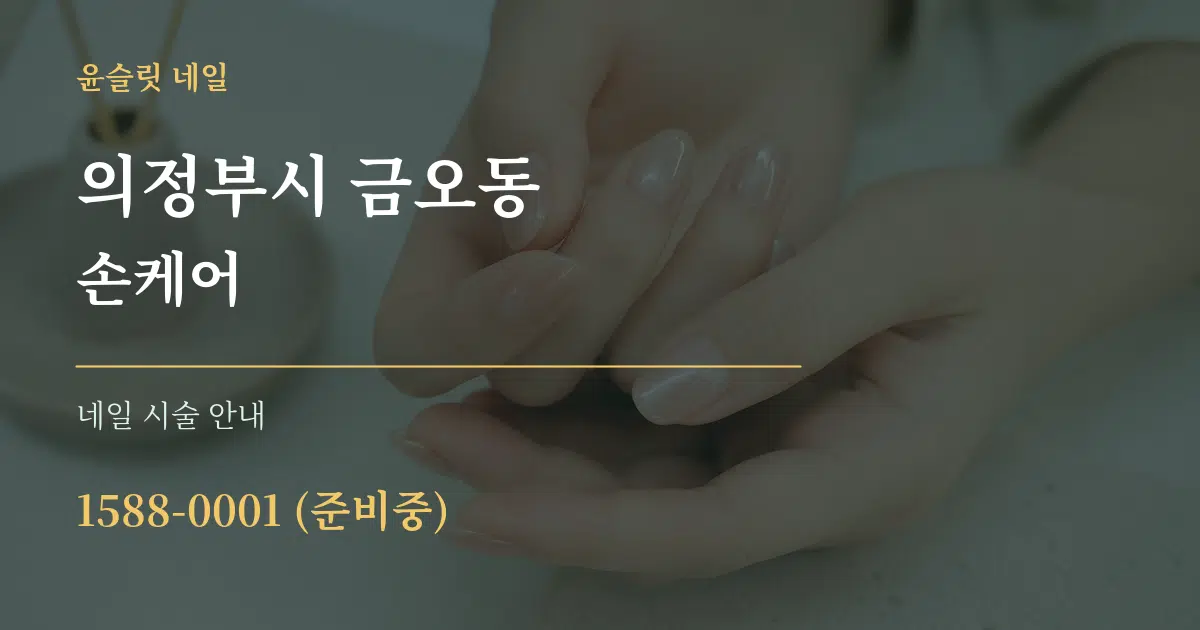 의정부시 금오동 손케어 대표 안내 그래픽