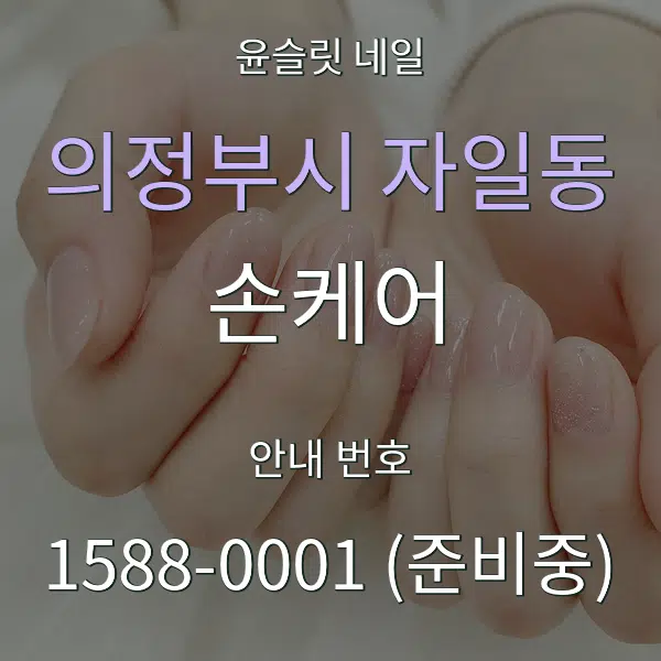 의정부시 자일동 손케어 대표 안내 그래픽