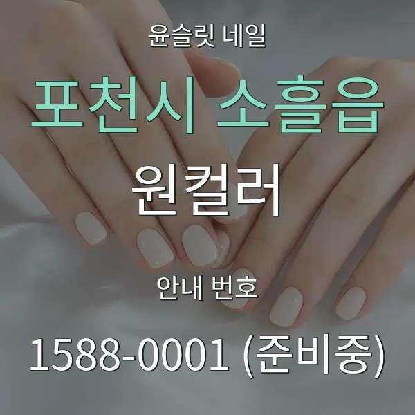 포천시 소흘읍 원컬러 대표 안내 그래픽