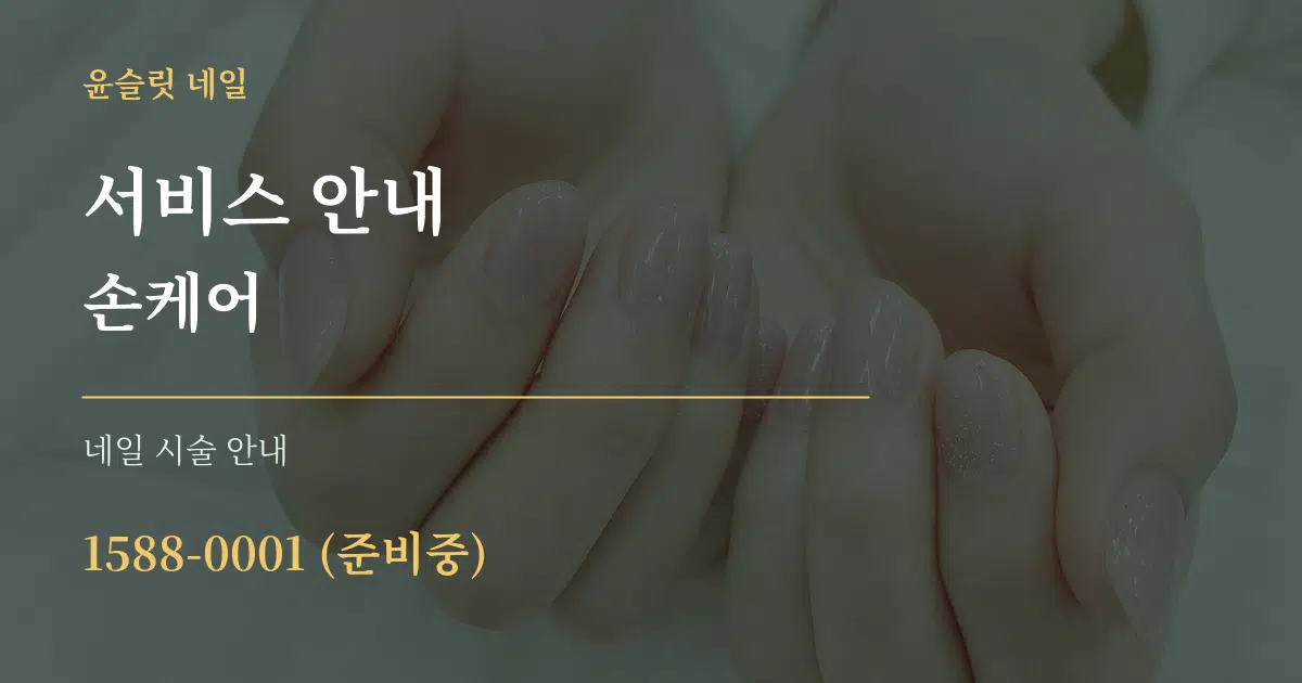 서비스 안내 손케어 대표 안내 그래픽