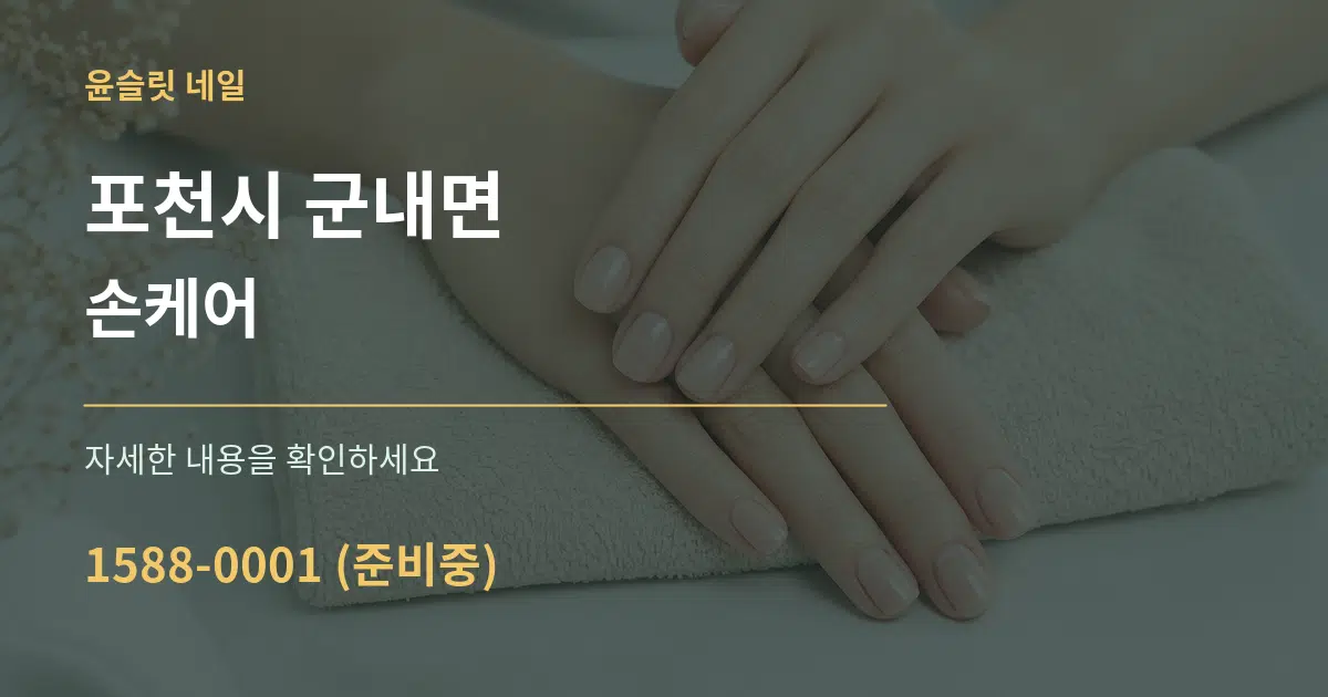 포천시 군내면 손케어 서비스 이용 안내 그래픽