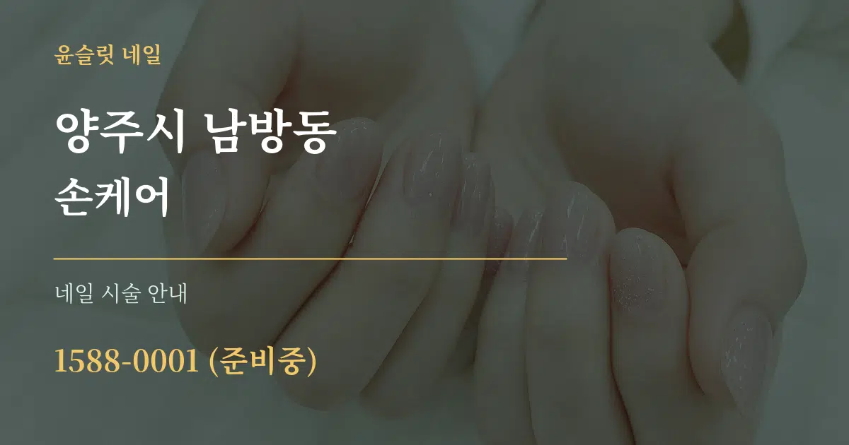 양주시 남방동 손케어 대표 안내 그래픽