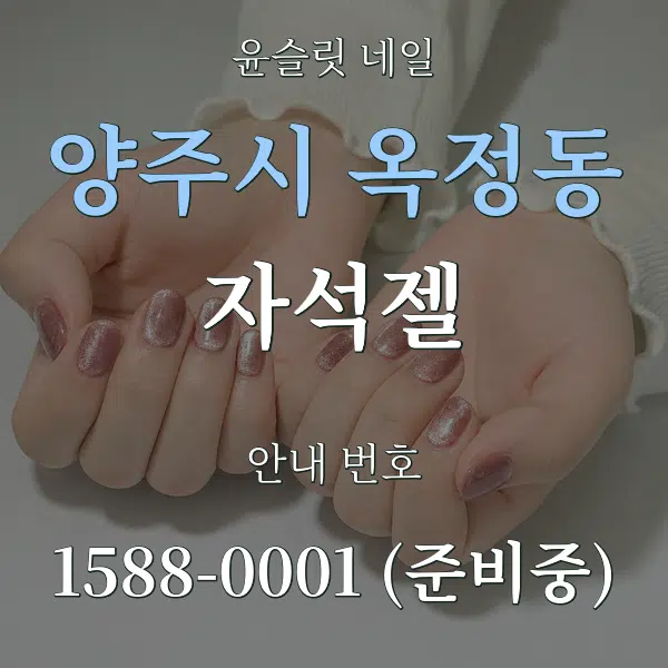 양주시 옥정동 자석젤 대표 안내 그래픽