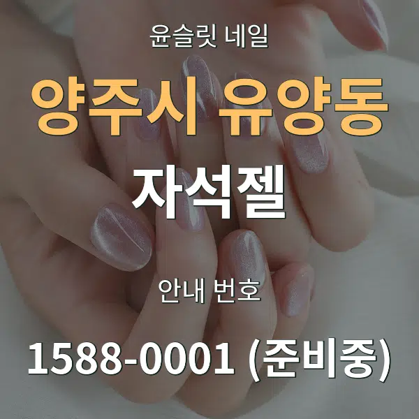 양주시 유양동 자석젤 대표 안내 그래픽