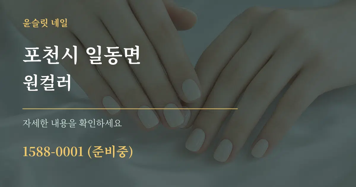 포천시 일동면 원컬러 서비스 이용 안내 그래픽