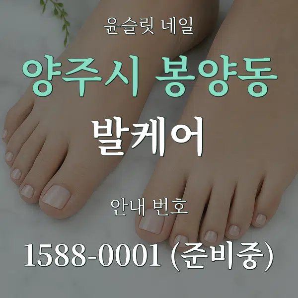 양주시 봉양동 발케어 대표 안내 그래픽