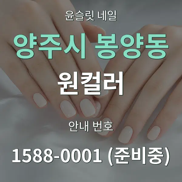 양주시 봉양동 원컬러 대표 안내 그래픽