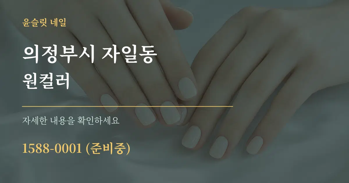 의정부시 자일동 원컬러 서비스 이용 안내 그래픽