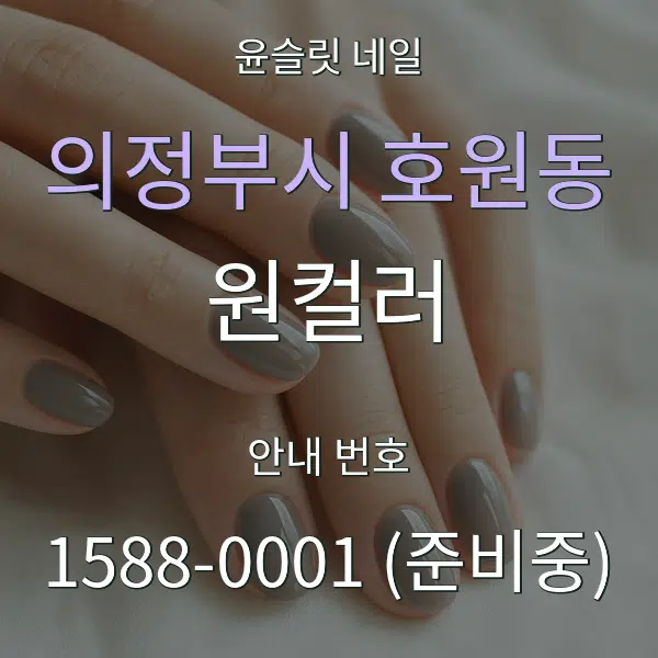의정부시 호원동 원컬러 대표 안내 그래픽