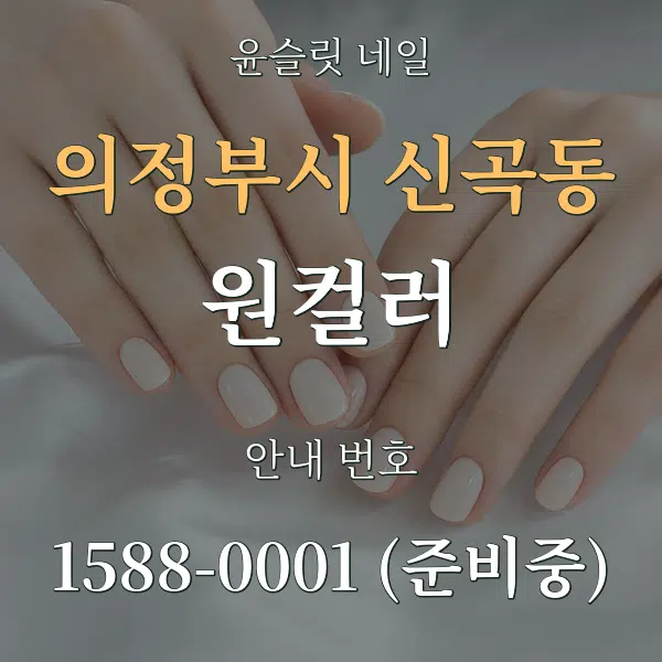 의정부시 신곡동 원컬러 대표 안내 그래픽