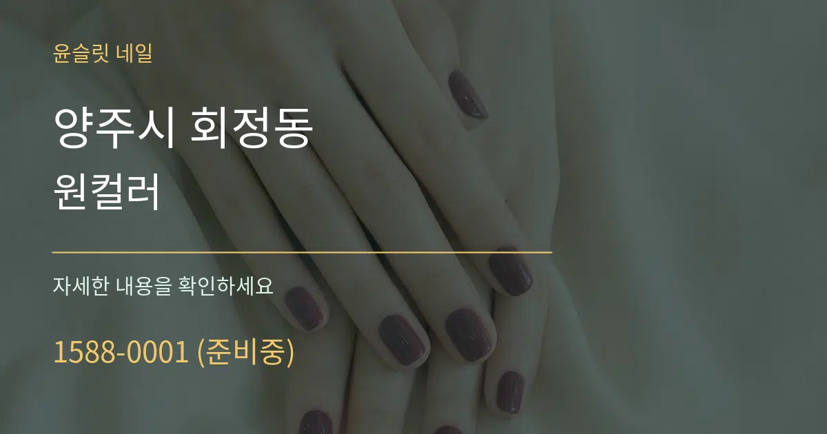 양주시 회정동 원컬러 서비스 이용 안내 그래픽