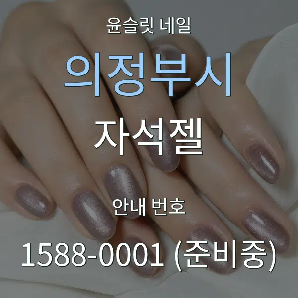 의정부시 자석젤 대표 안내 그래픽