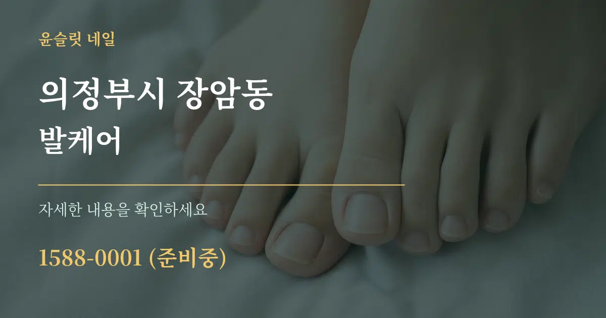 의정부시 장암동 발케어 서비스 이용 안내 그래픽