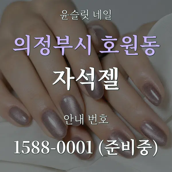의정부시 호원동 자석젤 대표 안내 그래픽