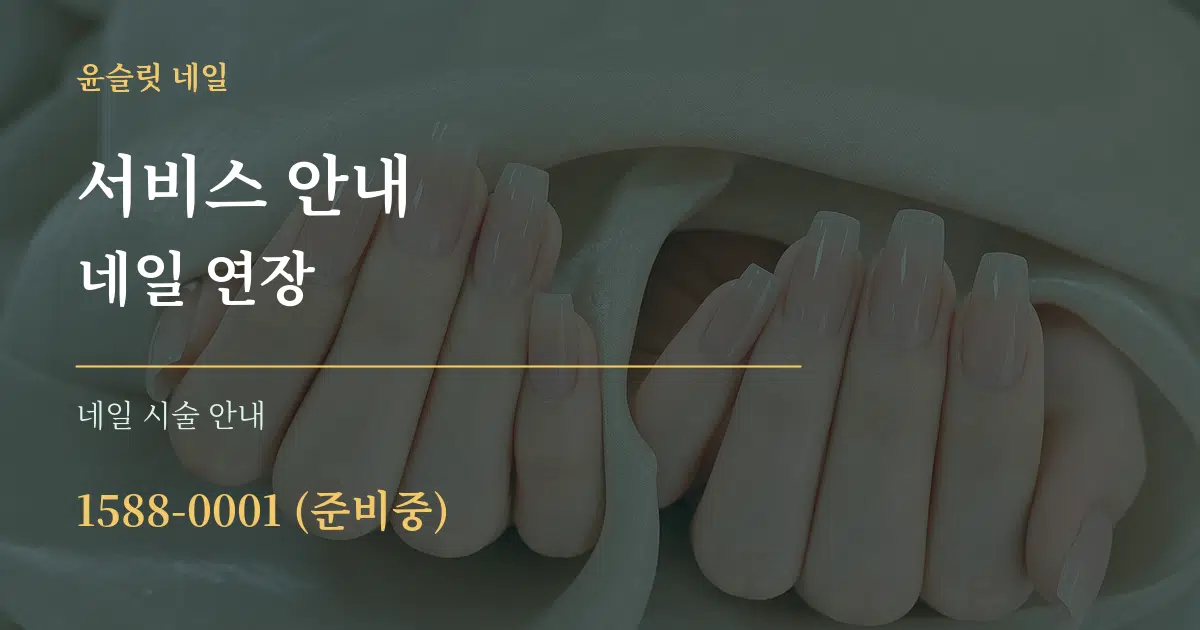 서비스 안내 네일 연장 대표 안내 그래픽