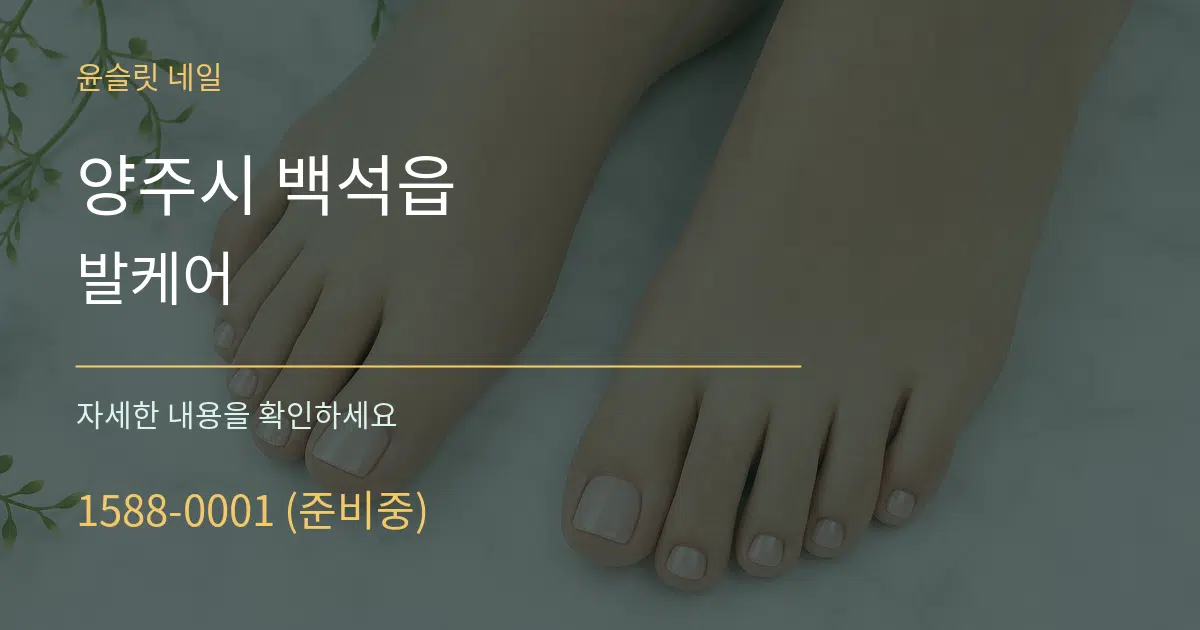 양주시 백석읍 발케어 서비스 이용 안내 그래픽