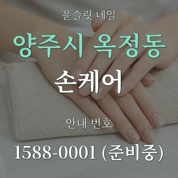양주시 옥정동 손케어 대표 안내 그래픽