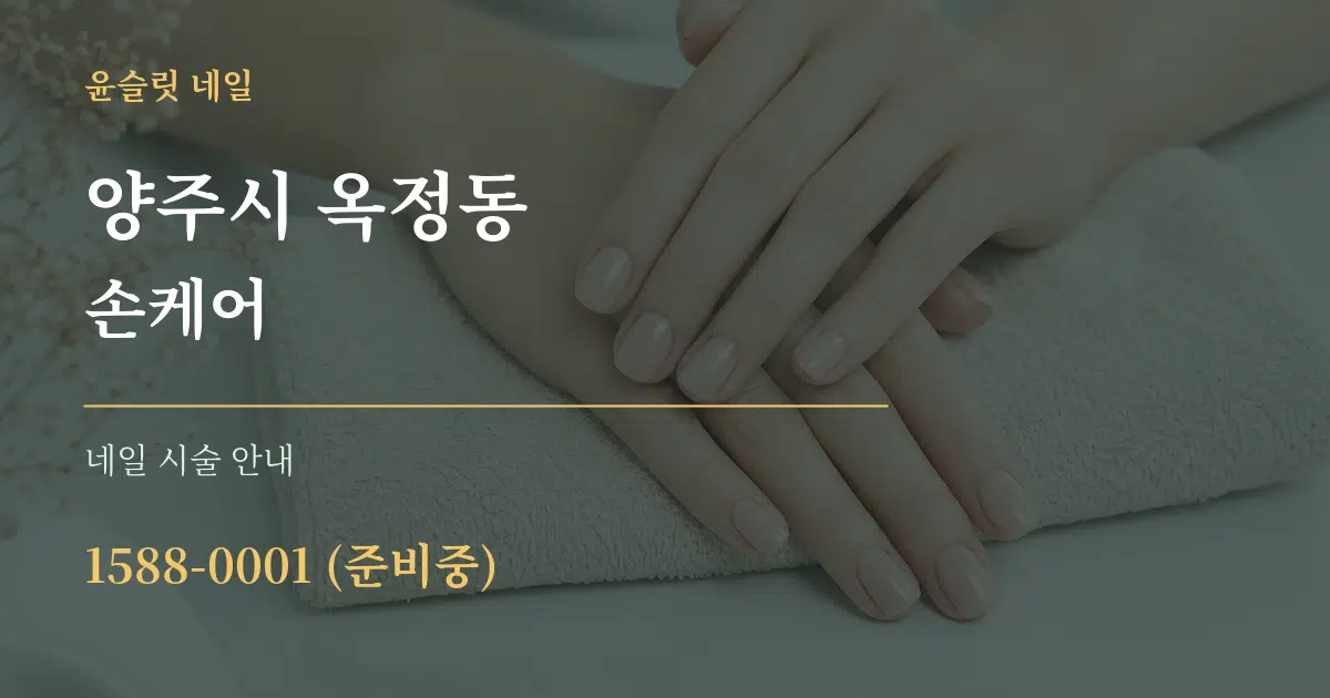 양주시 옥정동 손케어 대표 안내 그래픽