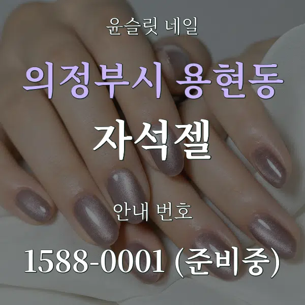 의정부시 용현동 자석젤 대표 안내 그래픽