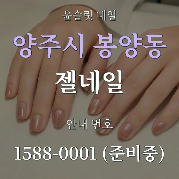양주시 봉양동 젤네일 대표 안내 그래픽