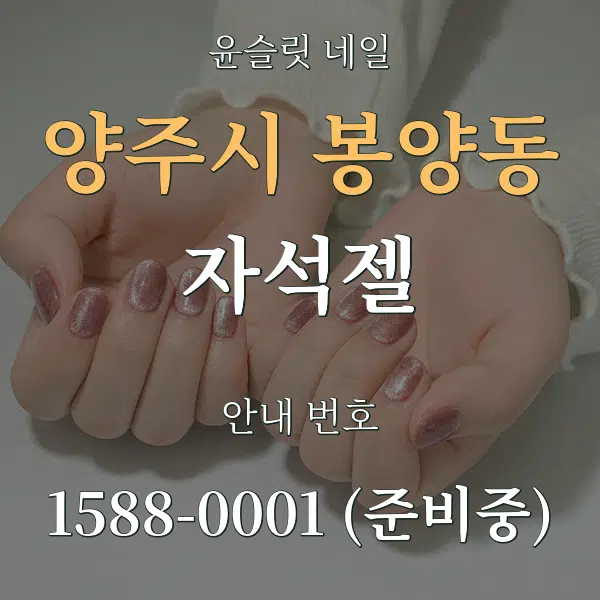 양주시 봉양동 자석젤 대표 안내 그래픽
