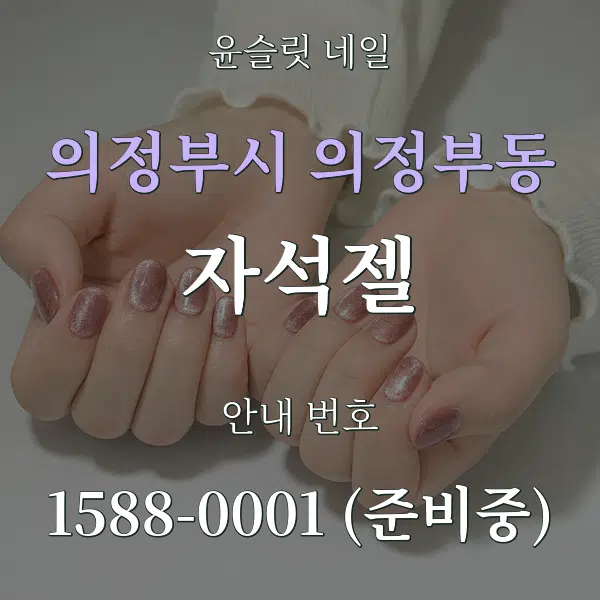 의정부시 의정부동 자석젤 대표 안내 그래픽