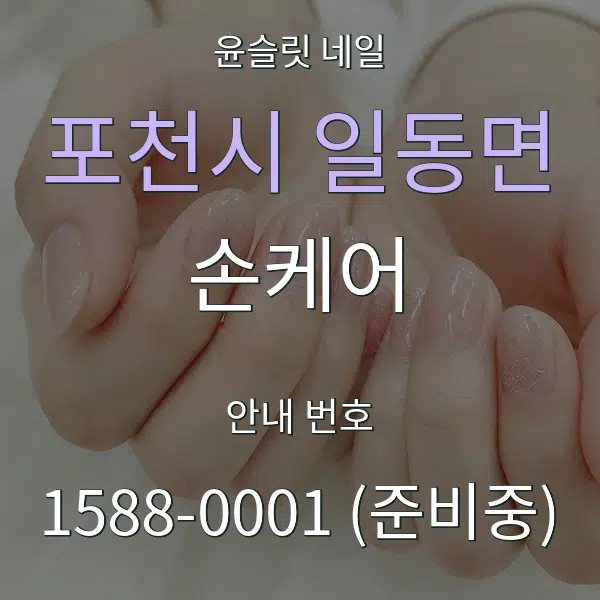 포천시 일동면 손케어 대표 안내 그래픽