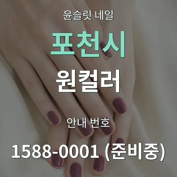 포천시 원컬러 대표 안내 그래픽