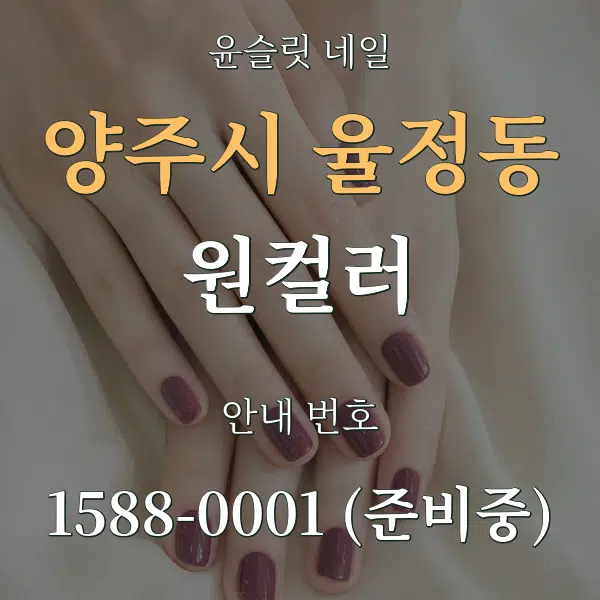 양주시 율정동 원컬러 대표 안내 그래픽