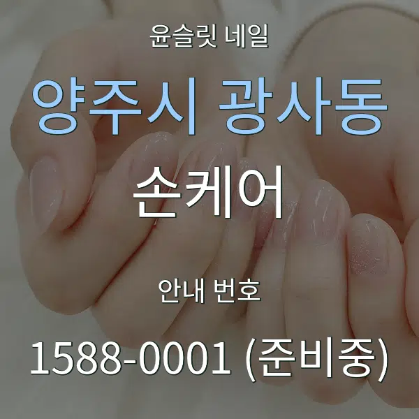 양주시 광사동 손케어 대표 안내 그래픽