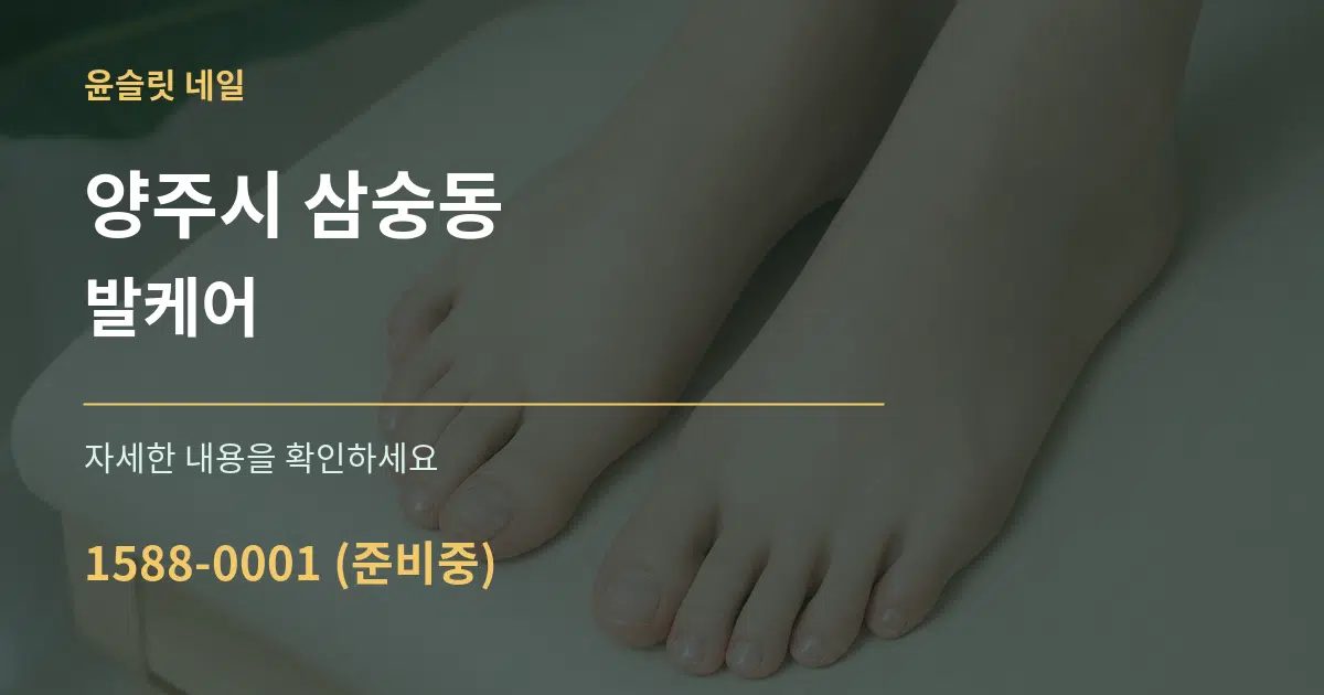 양주시 삼숭동 발케어 서비스 이용 안내 그래픽