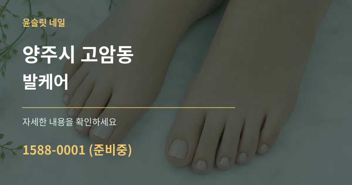 양주시 고암동 발케어 서비스 이용 안내 그래픽