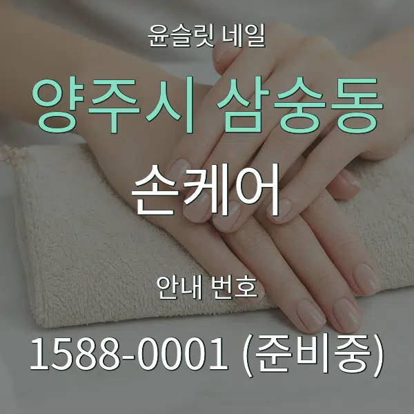 양주시 삼숭동 손케어 대표 안내 그래픽
