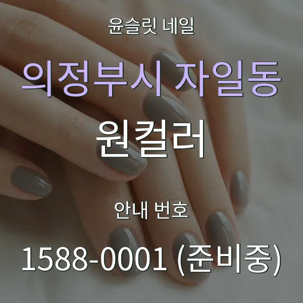 의정부시 자일동 원컬러 대표 안내 그래픽