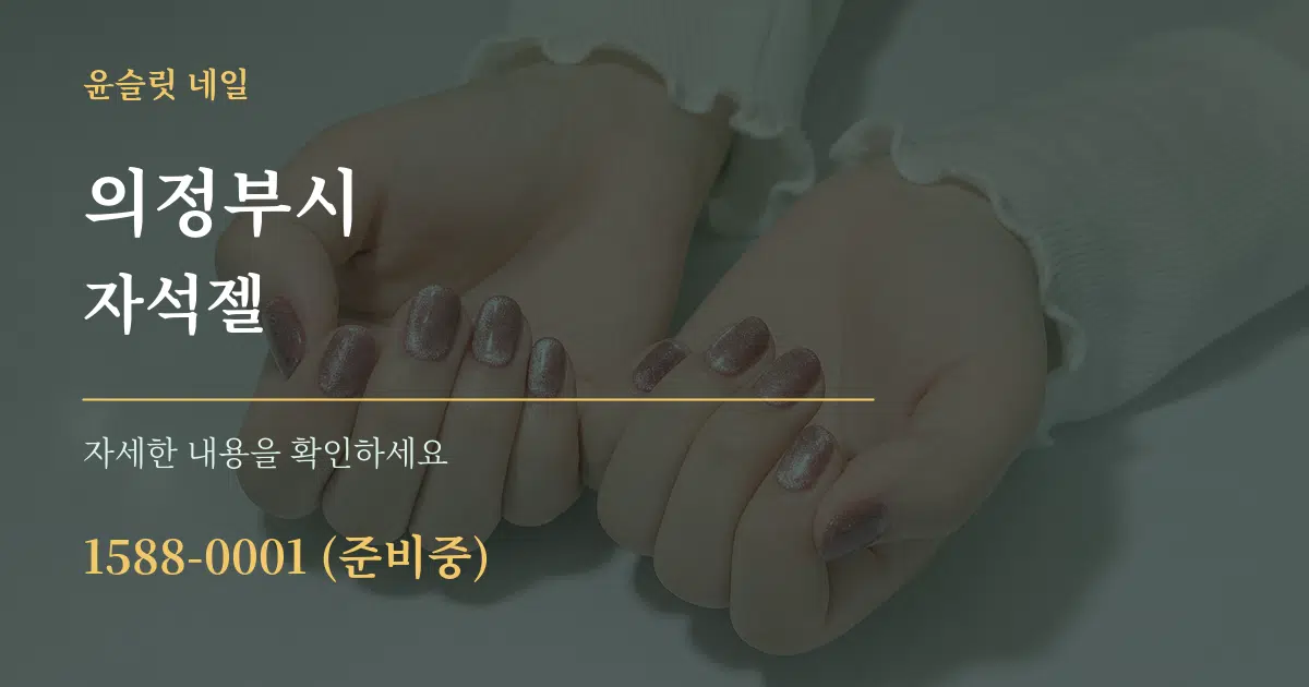 의정부시 자석젤 서비스 이용 안내 그래픽