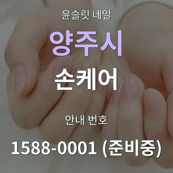 양주시 손케어 대표 안내 그래픽