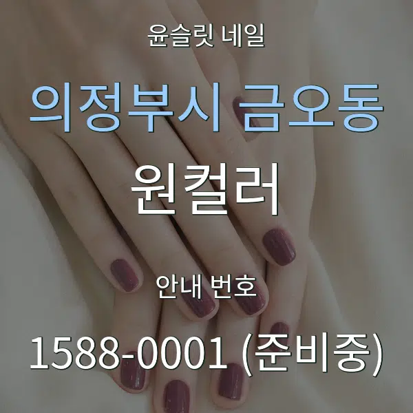 의정부시 금오동 원컬러 대표 안내 그래픽