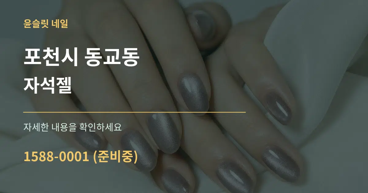 포천시 동교동 자석젤 서비스 이용 안내 그래픽