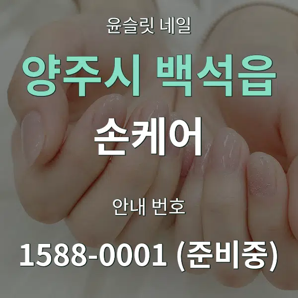 양주시 백석읍 손케어 대표 안내 그래픽