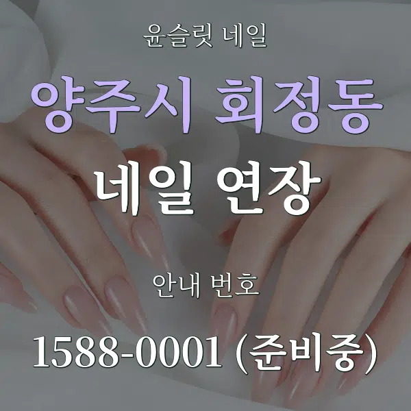 양주시 회정동 네일 연장 대표 안내 그래픽