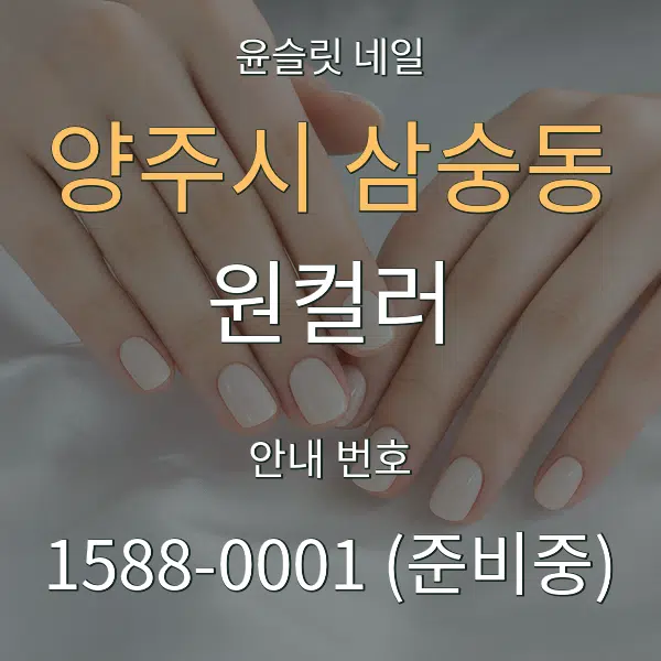 양주시 삼숭동 원컬러 대표 안내 그래픽