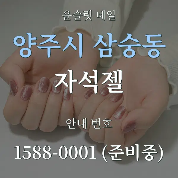 양주시 삼숭동 자석젤 대표 안내 그래픽